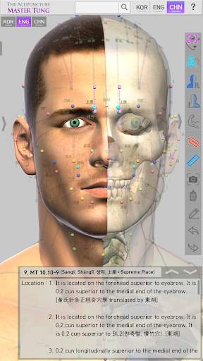 The Acupuncture Master Tung screenshot 2