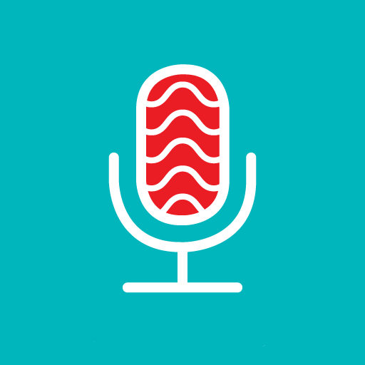 Echo icon