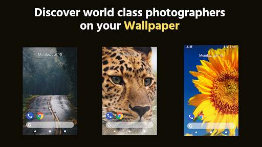 WallMag 🇮🇳 Where Photos Meet Stories screenshot 5