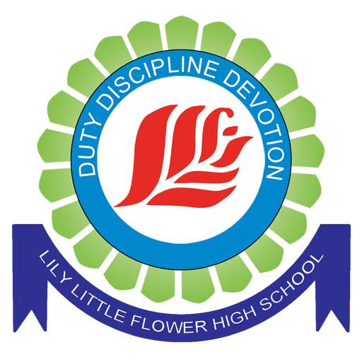 LLF School 11