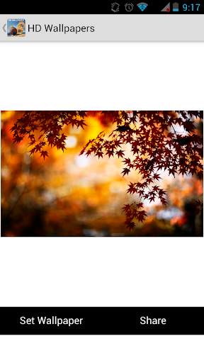 HD Wallpapers screenshot 4