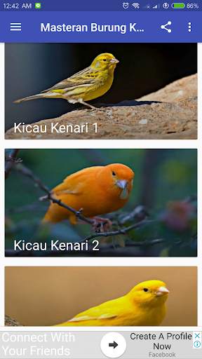 Kicau Burung Kenari screenshot 1