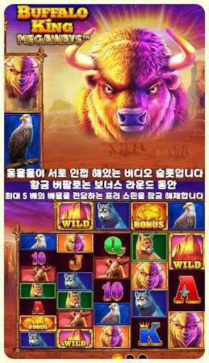 Buffalo King-토큰슬롯 라이브스코어Gaming screenshot 2