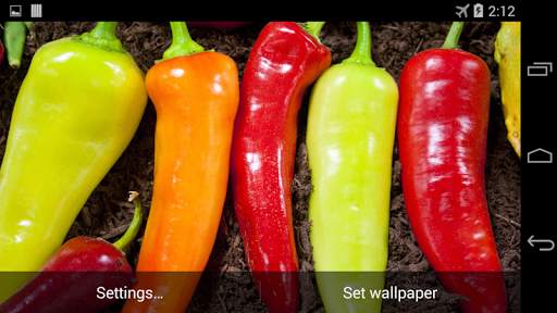 Hot Chili Peppers Wallpaper screenshot 4