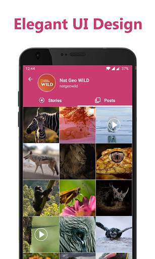 Story Saver for Instagram - Save HD Images, Videos screenshot 15