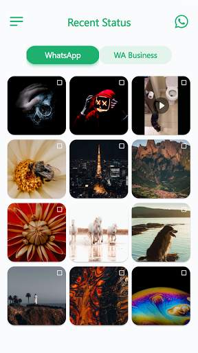 Status Saver for Whatsapp : Image And Video Saver screenshot 3