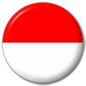 VPN Indonesia logo
