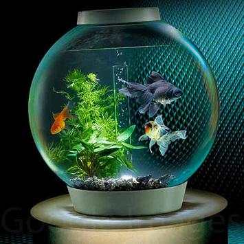 Aquarium Decoration Idea 4 تصوير الشاشة
