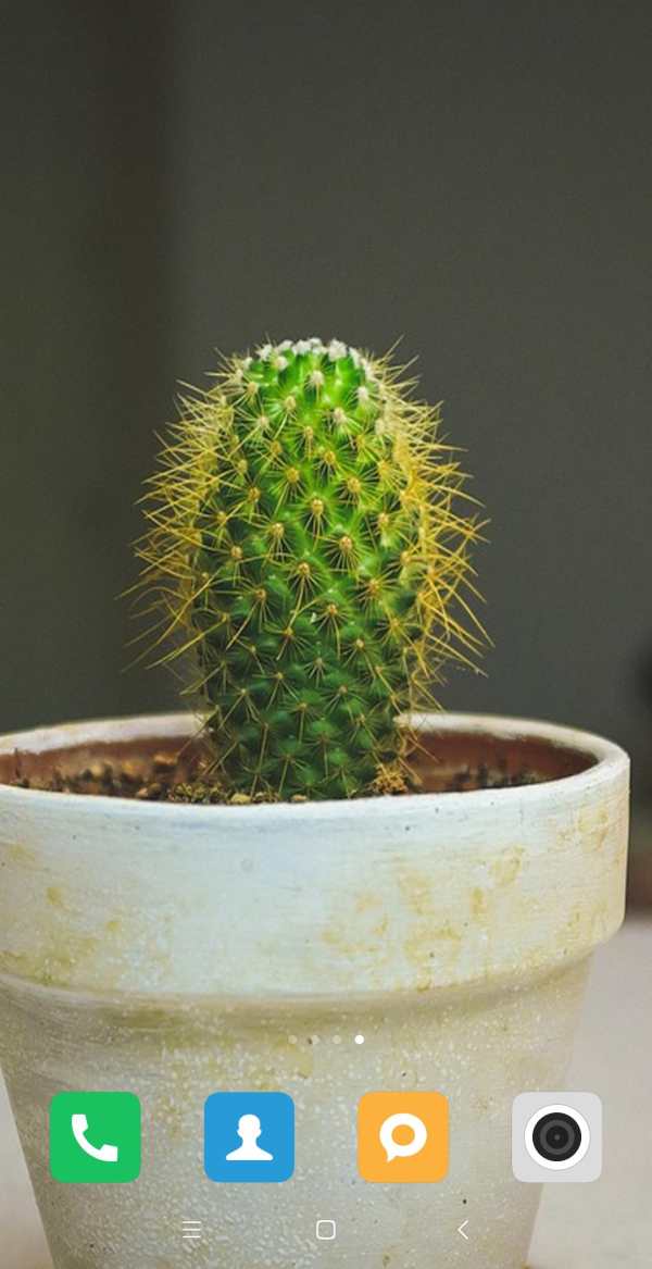 Cactus Wallpaper screenshot 12