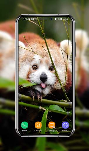 Cool Wallpaper screenshot 15