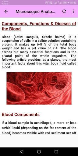 Human Histology screenshot 4