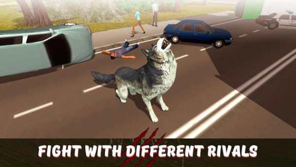 Angry Wolf City Attack Sim screenshot 2