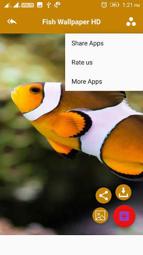 Fish 4k Wallpaper скриншот 4