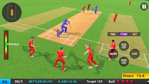 Indian T20 Cricket League 2022 screenshot 4
