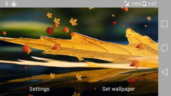 Nature Live Wallpaper screenshot 8