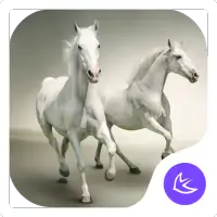 Pure|APUS Launcher theme