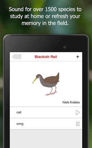 Birds of Ecuador screenshot 12