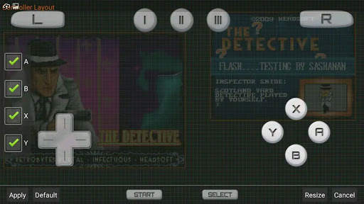 NDS Emulator screenshot 1