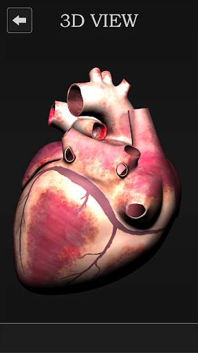 Female Anatomy 3D -Female Organs, Bones & Skeleton screenshot 4