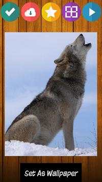 Wolf Wolves Puzzle Game screenshot 4