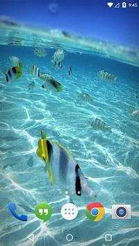 Caribe Island Ocean Tropic screenshot 2