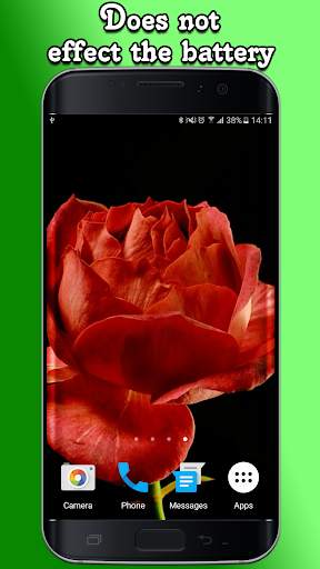 Blooming Roses Video Wallpaper screenshot 4