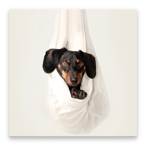 Animal Sounds icon