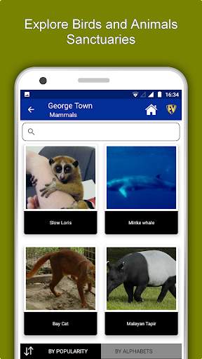 George Town Travel & Explore,  screenshot 5
