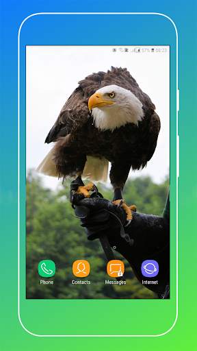 HD Eagle Wallpaper screenshot 15