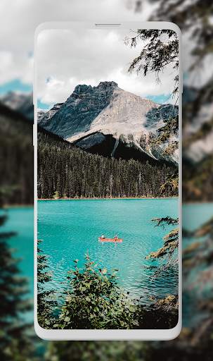 Best HD Wallpapers & Backgrounds screenshot 8