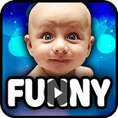Top Funny Vidoes (NEW   HD)