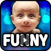 Top Funny Vidoes (NEW   HD) 3.0