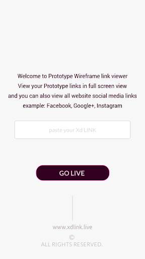 Full screen prototype viewer screenshot 2