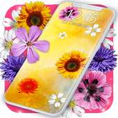 Pretty Flowers on Screen