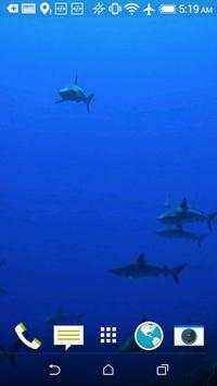 Sharks HD Video Wallpaper screenshot 1