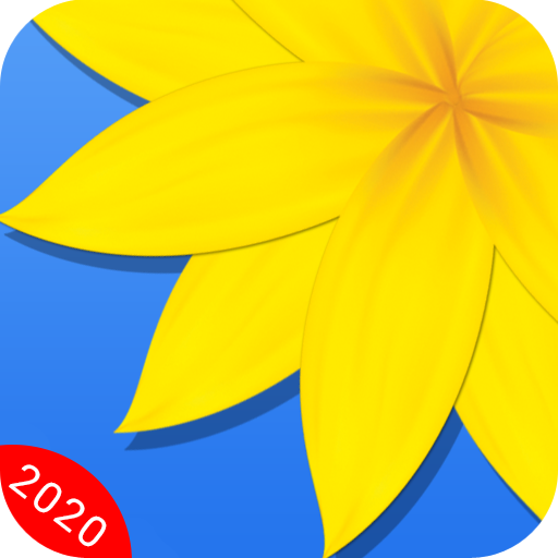 Gallery icon