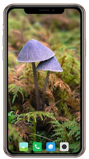 HD Mushroom Wallpaper screenshot 9