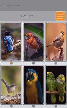Birds Zipper Lock Screen screenshot 15