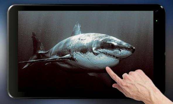 Shark Attack Live Wallpaper screenshot 5
