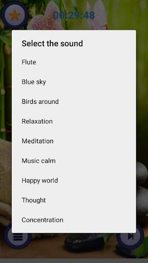 Relaxing Music : Relaxing Spa Music screenshot 2