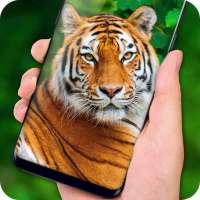 Tiger Live Wallpaper 2018: Colorful HD Backgrounds logo