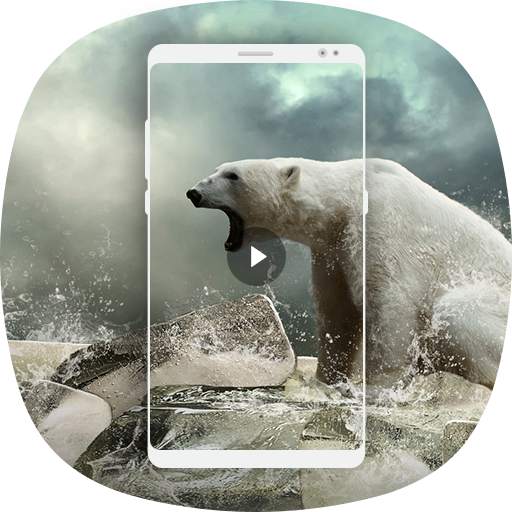 HD Animal Video Wallpaper 1.0