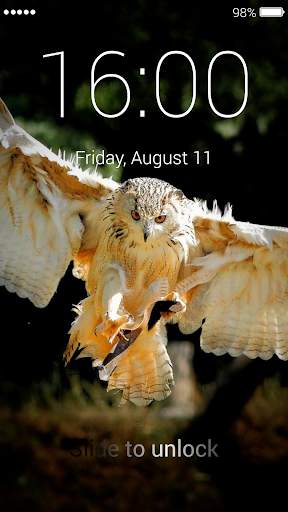 Owl Lock Screen & Wallpaper 8 تصوير الشاشة
