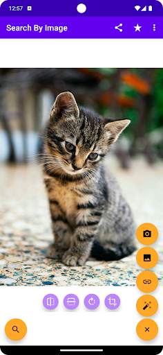 Search By Image screenshot 1