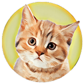 Animal Sounds Game icon