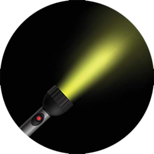 flashlight on 1.0