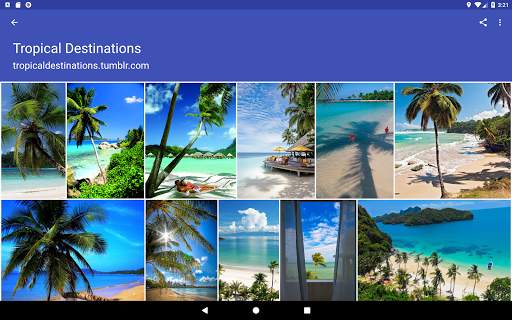 Photo & Video Explorer and Downloader for Tumblr screenshot 15