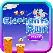 Temper Elephant Run 1.0