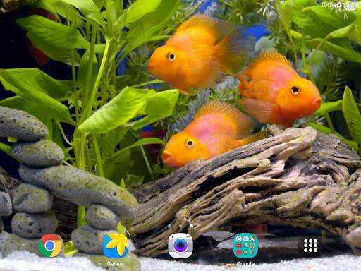 Aquarium 4K Live Wallpaper screenshot 9