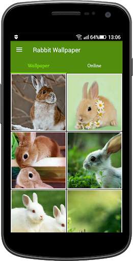 Rabbit Wallpaper screenshot 1